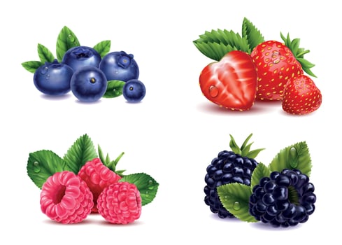 Natural Berries Realistic Set vector