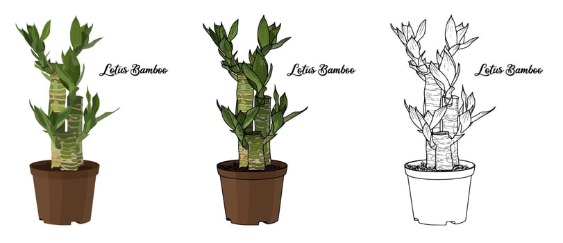 House Plant Coloring Book Hand Drawn Illustration vector