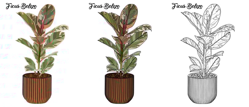 House Plant Coloring Book Hand Drawn Illustration vector