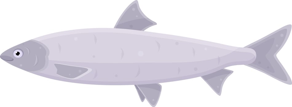 color vector illustration of tuna fish, proper nutrition, seafood, seafood delicacies, canned fish