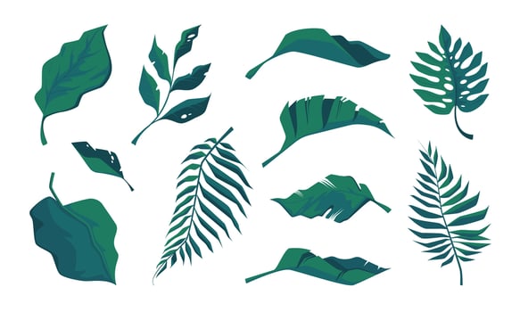Tropical leaves. Exotic botanical floral elements palm leaf monstera philodendron, tropic foliage tree branch icons colorful cartoon style. Vector isolated set