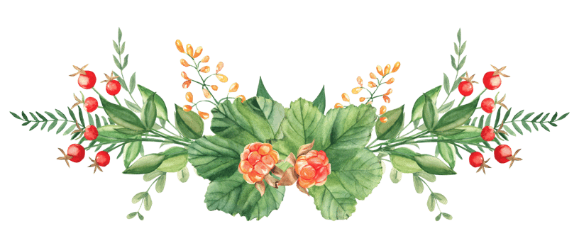 Watercolor garland summer bouquet. Cloudberry leaves, red berries, yellow flowers and green branches. Botanical hand drawn illustration. For greeting cards, invitations, logos. png