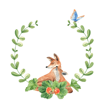 Woodland baby and mother fox animal watercolor wreath with green branches and leaves, cloudberry and blue butterfly. Floral illustration for nursery, greeting cards, invitations, save the date, logos. png
