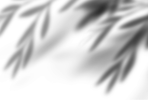 Leaves shadow overlay, isolated Tropical Branches leaves png