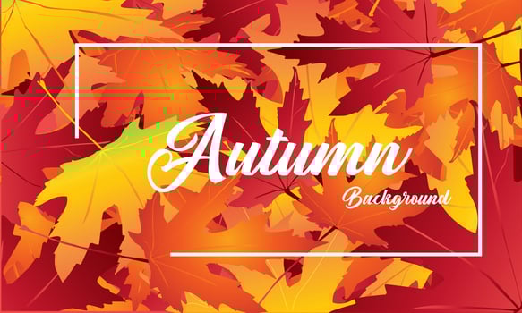 Seamless pattern with acorns and autumn oak leaves in Orange, Beige, Brown and Yellow. Perfect for wallpaper, gift paper, pattern fills, web page background vector