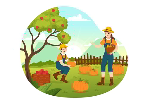 Harvest Season Vector Illustration with Autumn of Pumpkins and Seasonal Agricultural on a Farm in Flat Cartoon Hand Drawn Background Templates