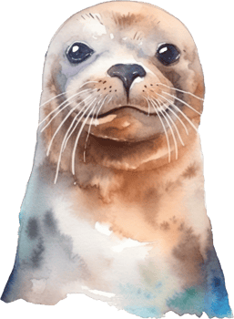 Sealion Watercolor Illustration. png
