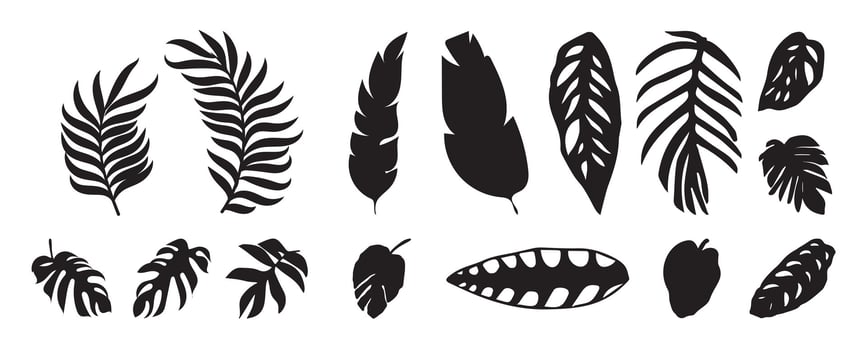 Collection of silhouette leaf elements. Set of tropical plants, leaf branch, palm, monstera leaves, foliage, banana leaf. Hand drawn of botanical vectors for decor, website, graphic, decorative.