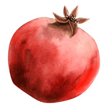 Bright red whole pomegranate watercolor illustration. Rosh Hashanah symbolic fruit hand draw botanical clipart for Jewish New year designs and stickers png
