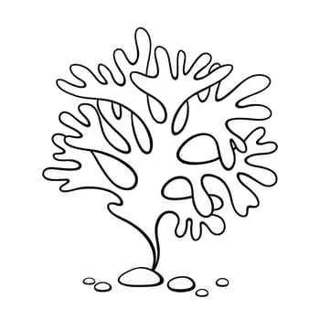 Algae. Outline underwater plant. Black and white illustration of seaweed . Vector clipart isolated on white background.