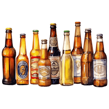 Beer bottles watercolor hand drawn illustration png