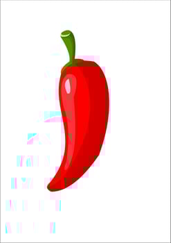 vector illustration of red chili