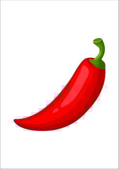 vector illustration of red chili