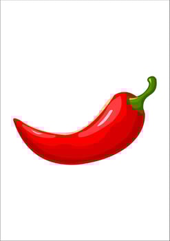 vector illustration of red chili