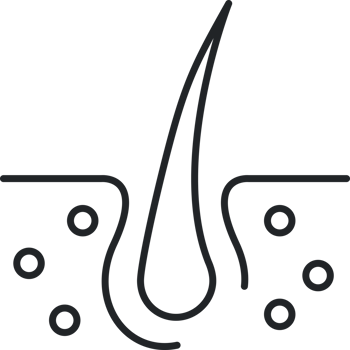 Hair follicle line icon png
