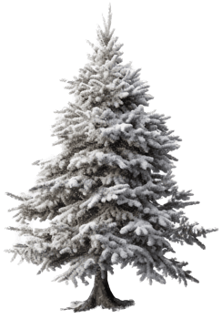 Christmas tree with . png
