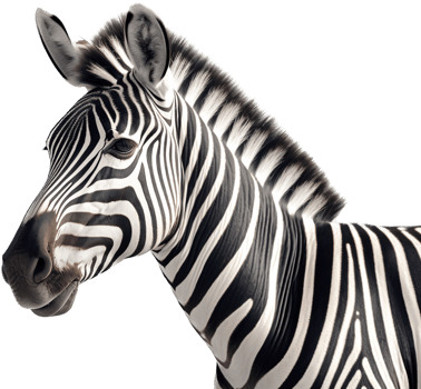 Zebra with . png
