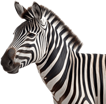 Zebra with . png