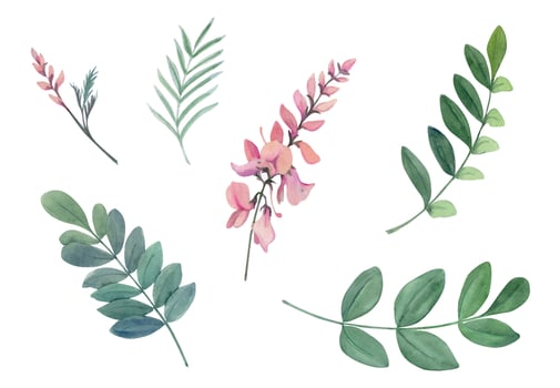 Hand drawn watercolor indigo plant flowers and leaves, coloring dye, for hobby, handmade fabric. Illustration isolated object on white background. Shop logo, print, website, business card, booklet vector