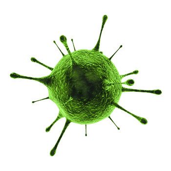 Microscopic Virus Cell png