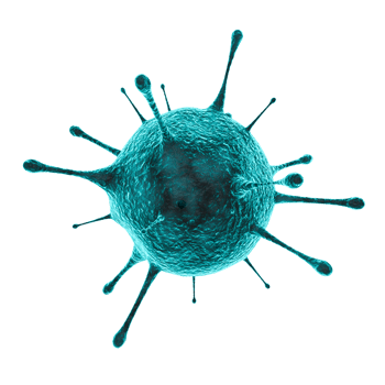 Microscopic virus cell png