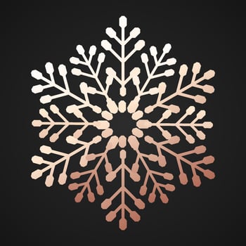 Snowflake gold luxury style isolated vector