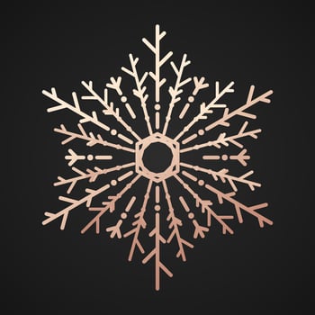 Snowflake vector gold line style isolated