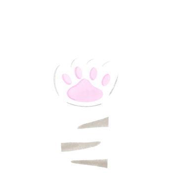 Cat foot Cutie png