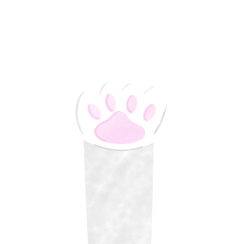 Cat foot Cutie png