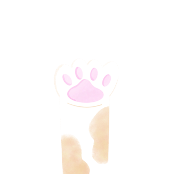 Cat foot Cutie png
