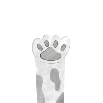 Cat foot Cutie png