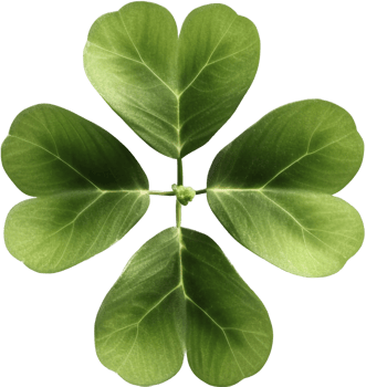 Clover with . png