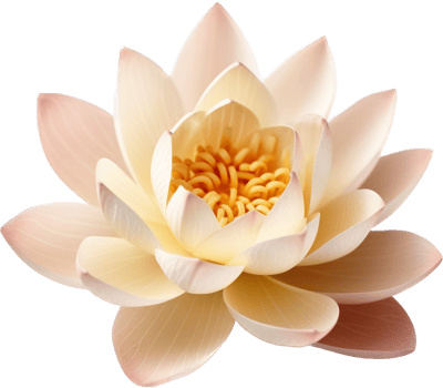 Lotus with . png