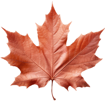 Maple leaf with . png