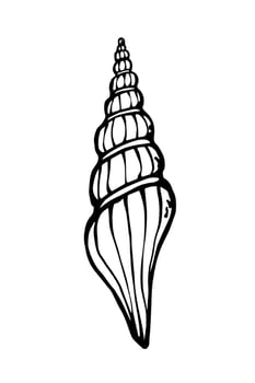 Hand drawn spiral sea shell black ink line art element on white background. Black and white outline cockle shel vector illustration.