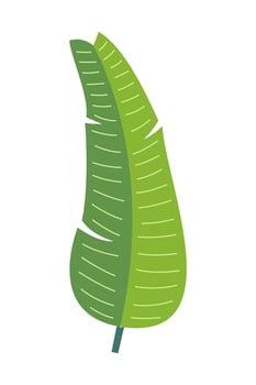 Tropical leaves and abstract exotic plant vector design elements on the white background. Flat Design jungle leaves. Nature plant tropical leaves