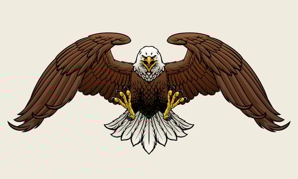 Fierce Bald Eagle Spread the Wings Vector Illustration