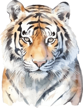 Tiger Watercolor Illustration. png