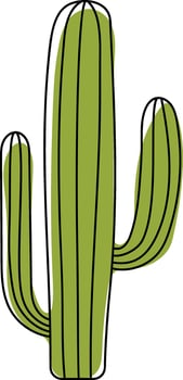 retro hand drawn saguaro cactus isolated on the white background vector