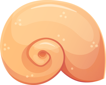 Colorful tropical shell png.Summer concept in cartoon style. Illustration isolated on transparent background. png