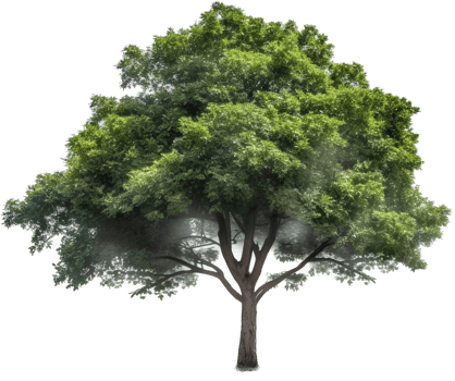 Tree with . png