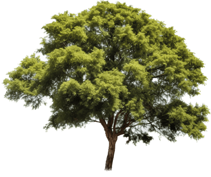Tree with . png