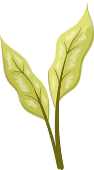 leaves art design illustration vector