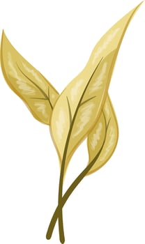 leaves art design illustration vector