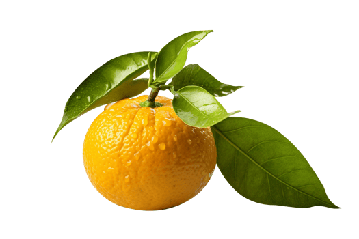 Fresh single orange fruit isolated on transparent background png