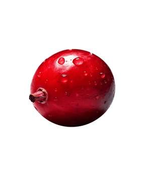 Fresh cranberry isolated on transparent background png