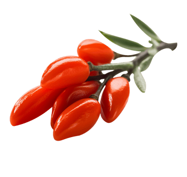 Fresh barberries isolated on transparent background png