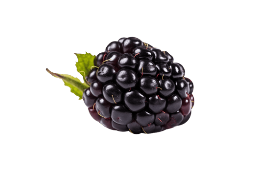Fresh blackberry isolated on transparent background png