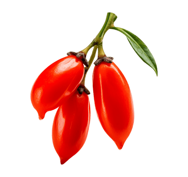 Fresh barberries isolated on transparent background png