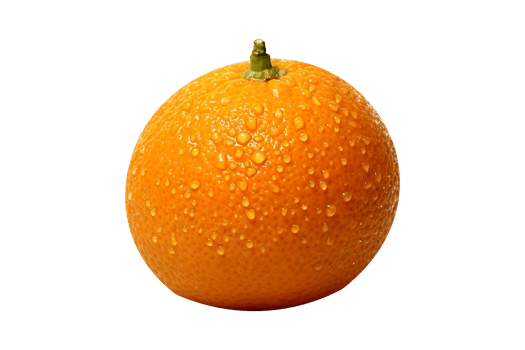 Fresh single orange fruit isolated on transparent background png